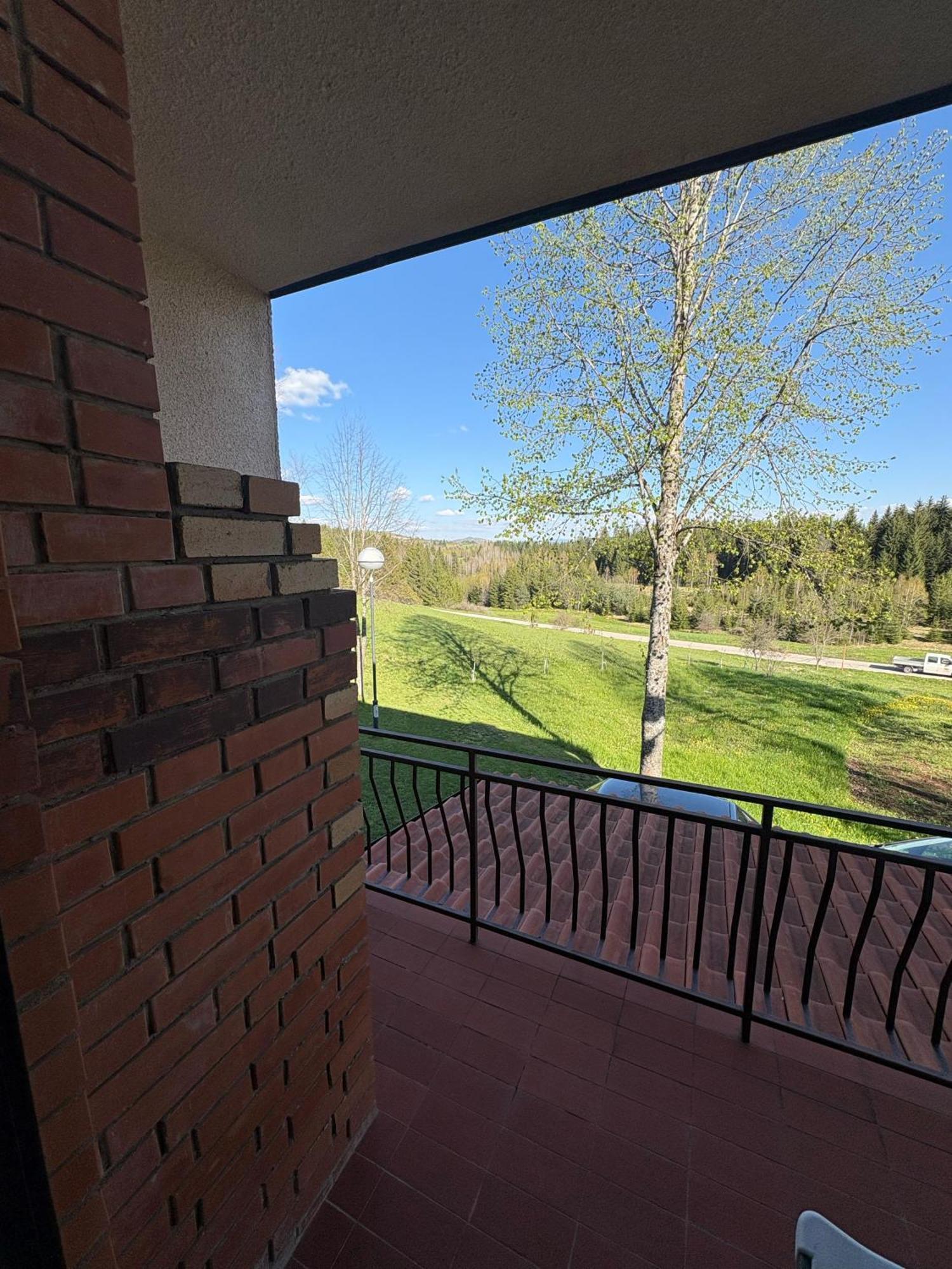 Vila Trtovic Nova Varoš Exterior foto